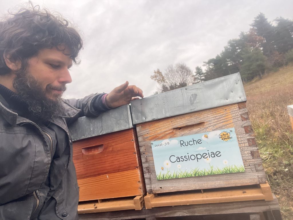 La ruche Cassiopeiae