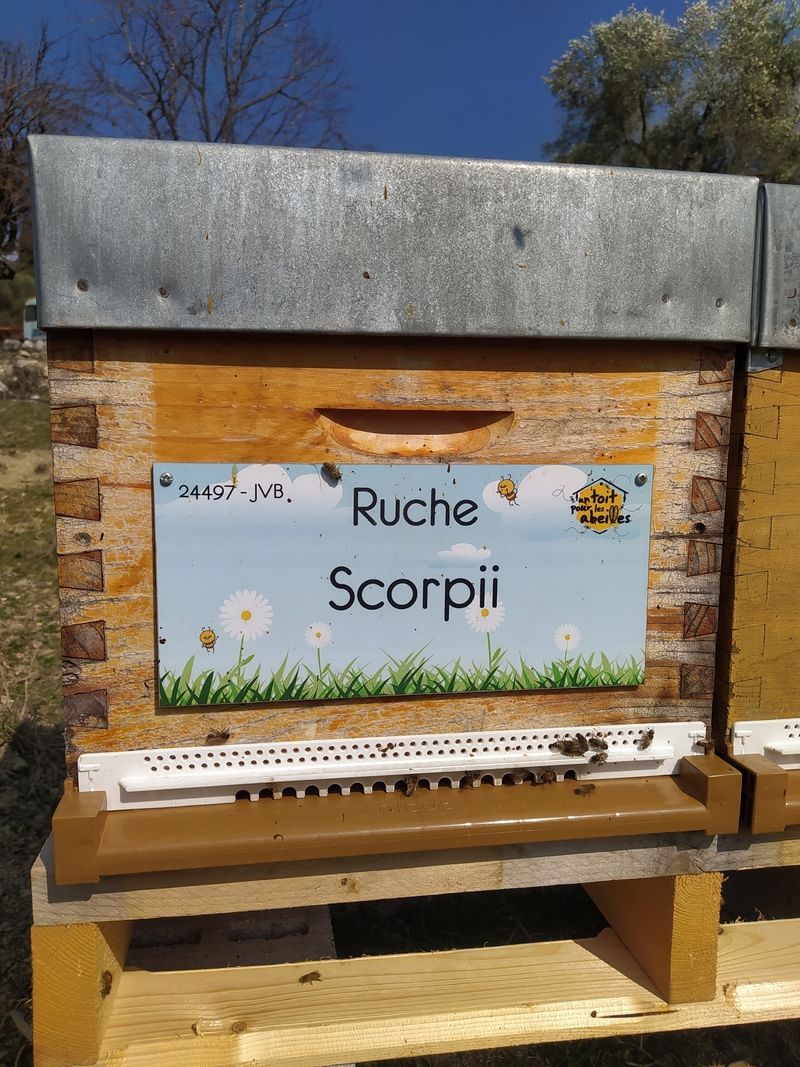 La ruche Scorpii