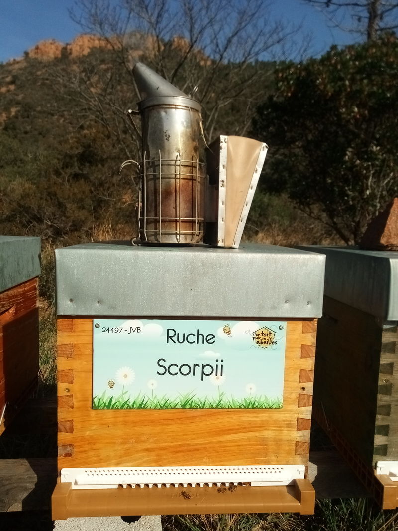 La ruche Scorpii