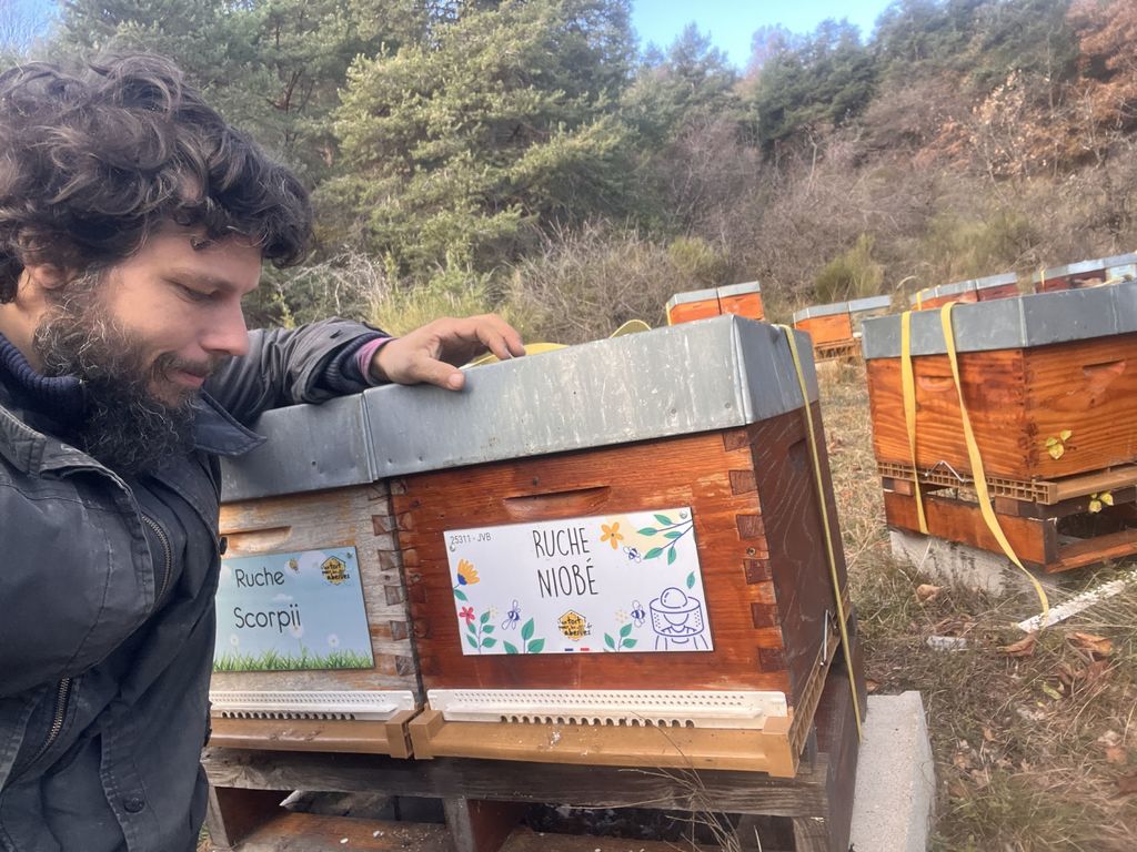 La ruche Scorpii