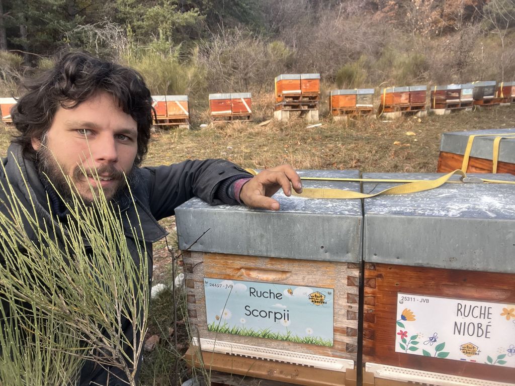 La ruche Scorpii