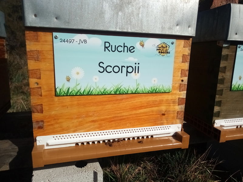 La ruche