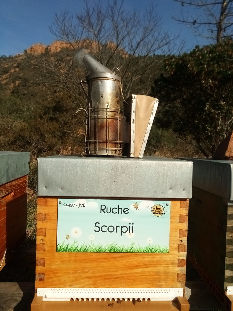 La ruche Scorpii