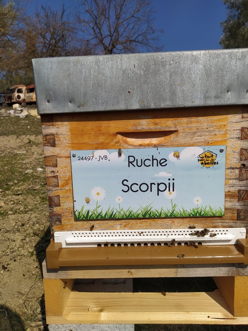 La ruche Scorpii
