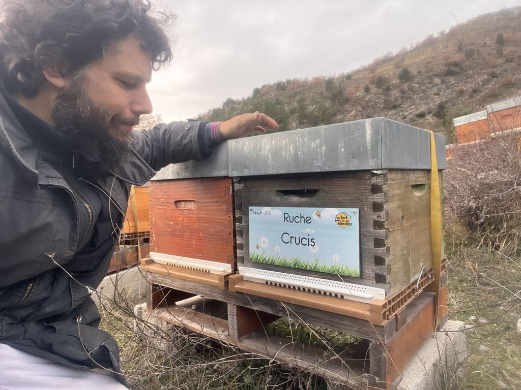 La ruche Crucis
