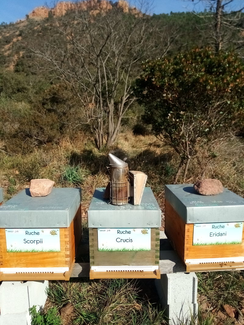 La ruche Crucis