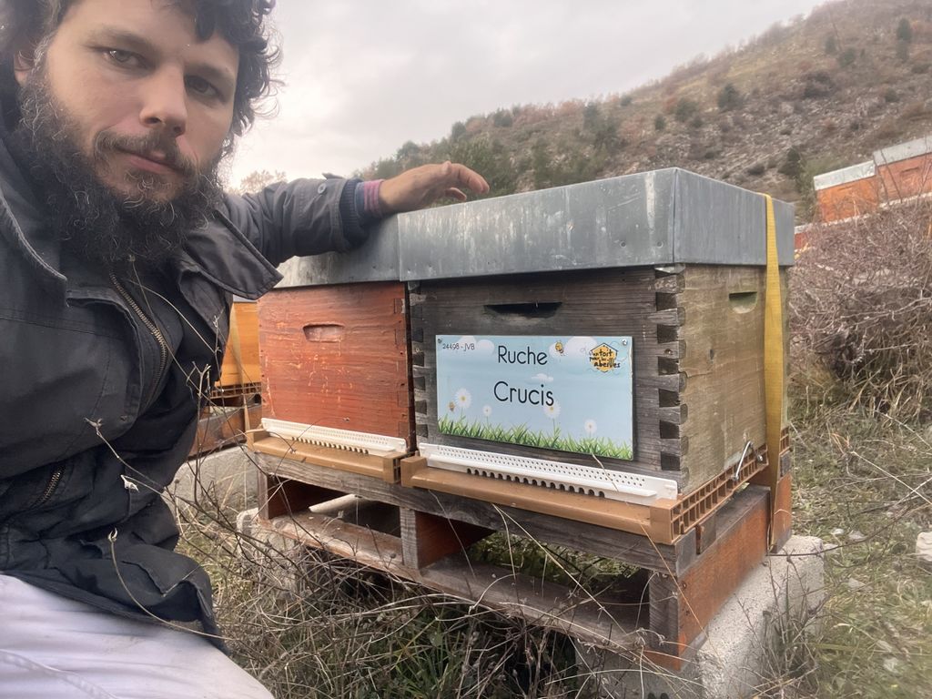 La ruche Crucis