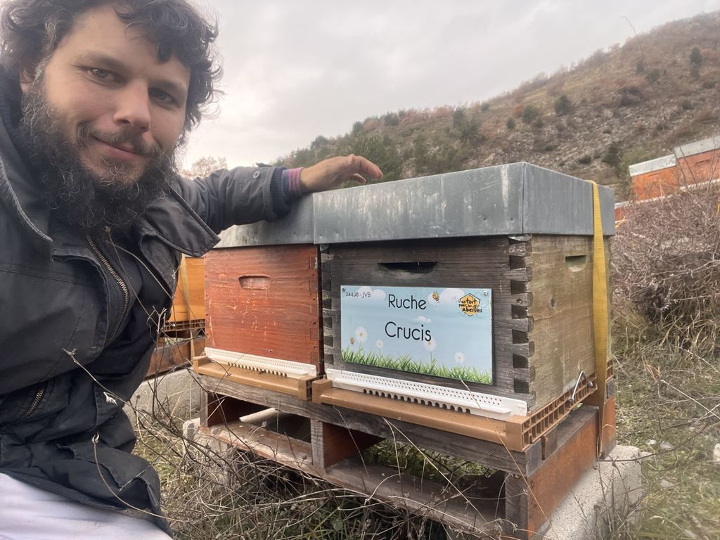 La ruche Crucis