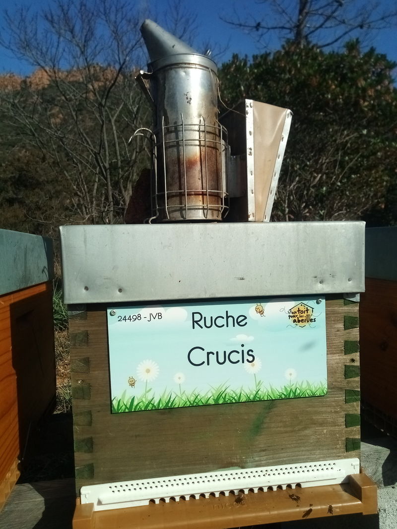 La ruche Crucis