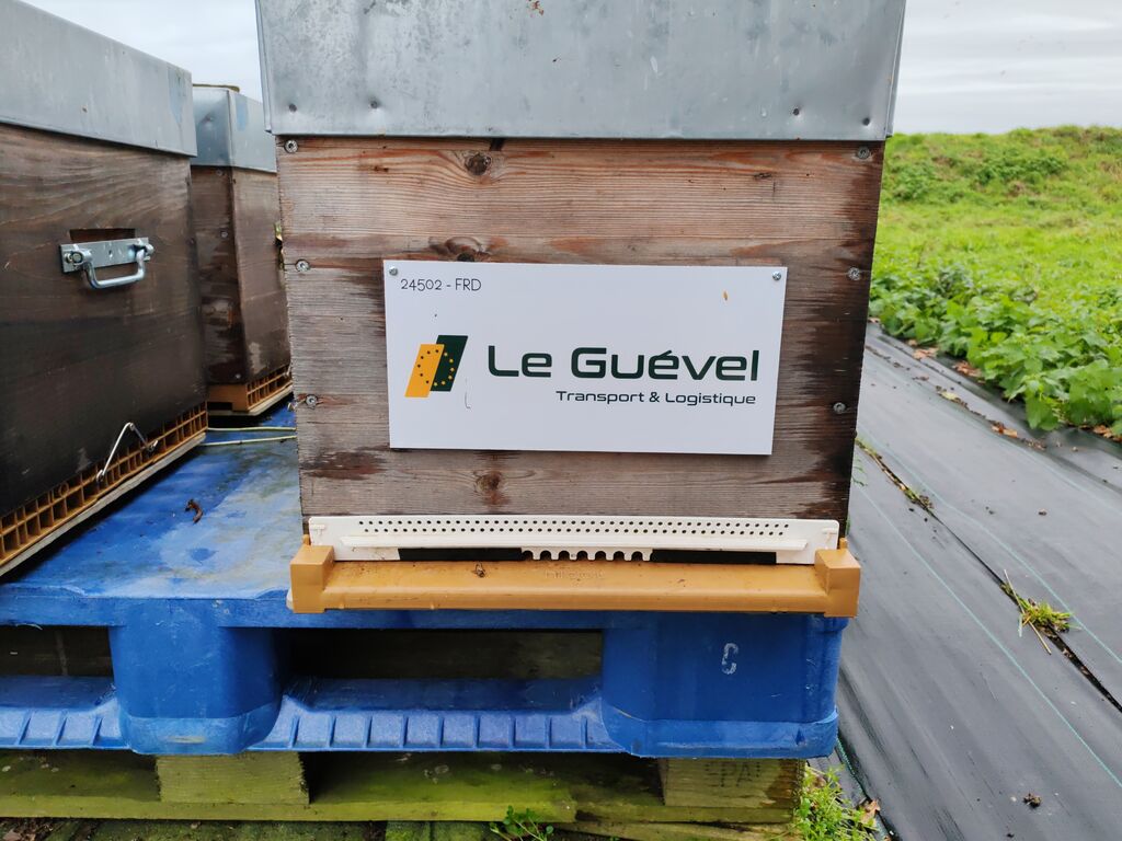 La ruche Astre - Le Guevel
