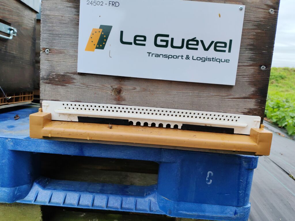 La ruche Astre - Le Guevel
