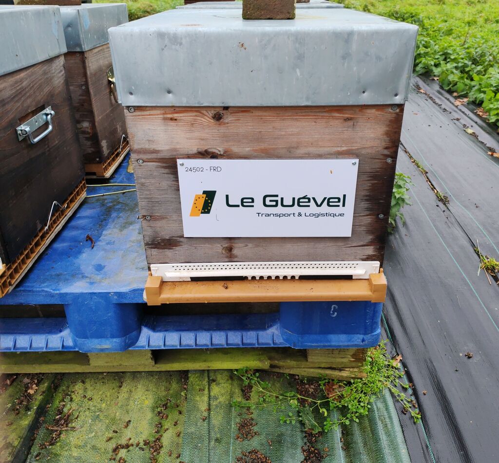 La ruche Astre - Le Guevel