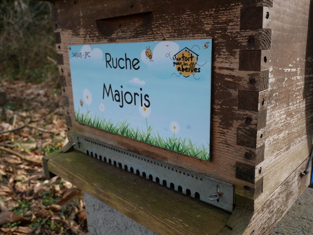 La ruche Majoris