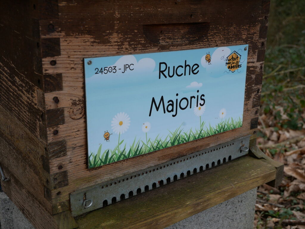 La ruche Majoris