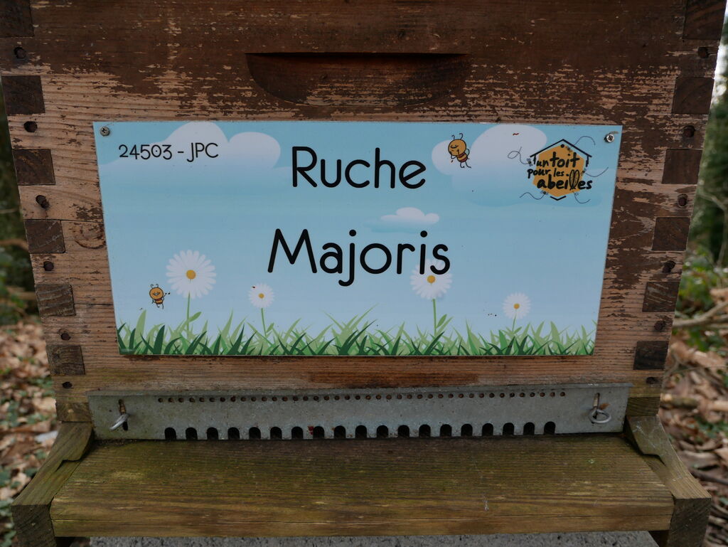 La ruche Majoris