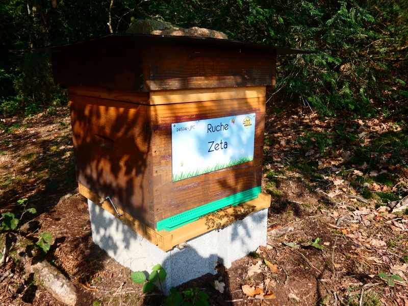 La ruche Zeta
