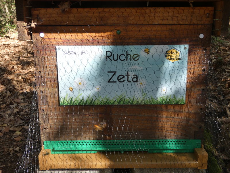 La ruche Zeta