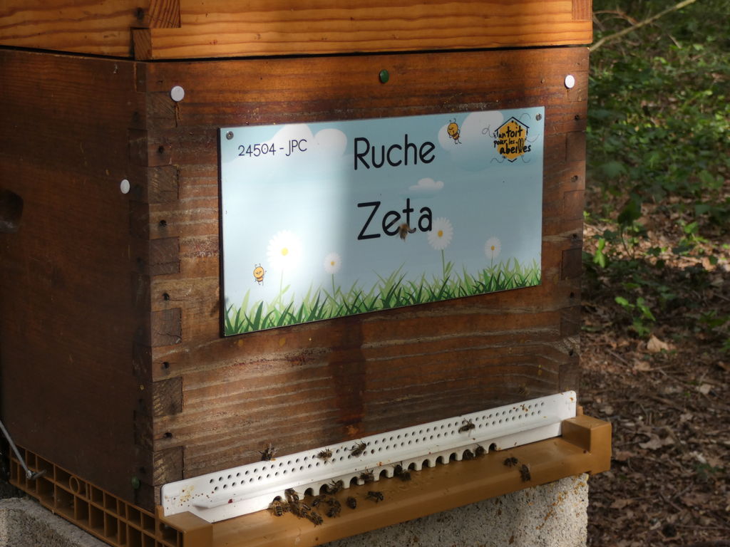 La ruche Zeta