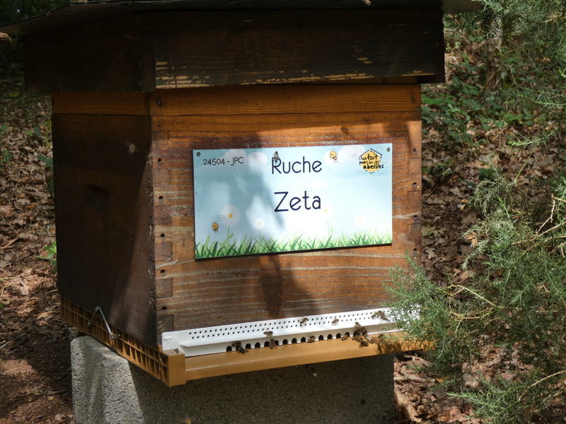 La ruche Zeta