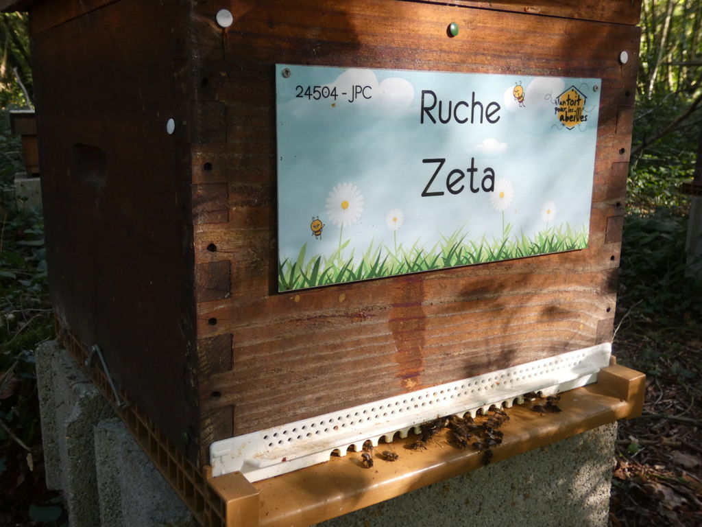 La ruche Zeta