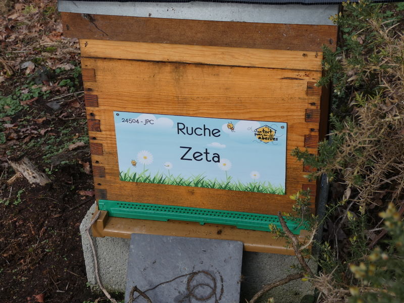 La ruche Zeta
