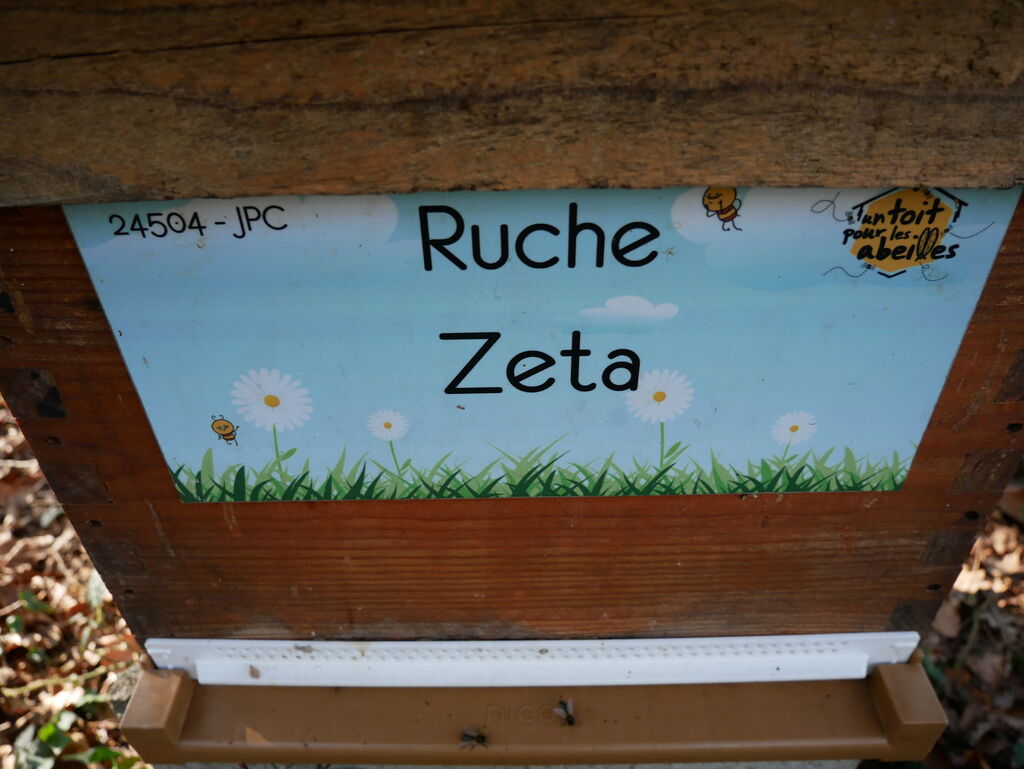 La ruche Zeta