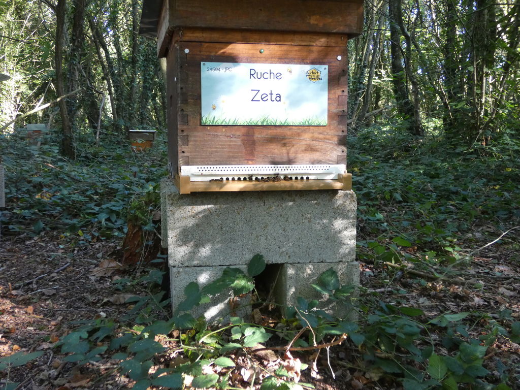 La ruche Zeta