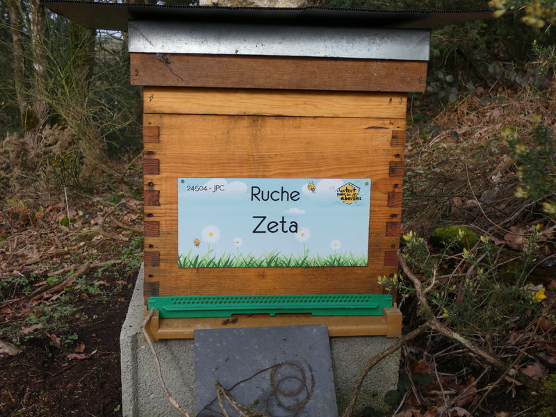 La ruche Zeta