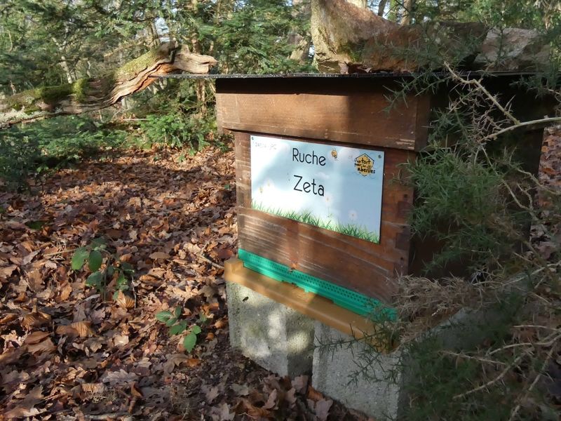 La ruche Zeta