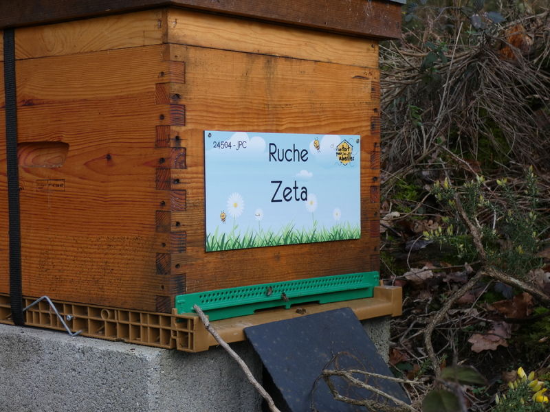 La ruche Zeta