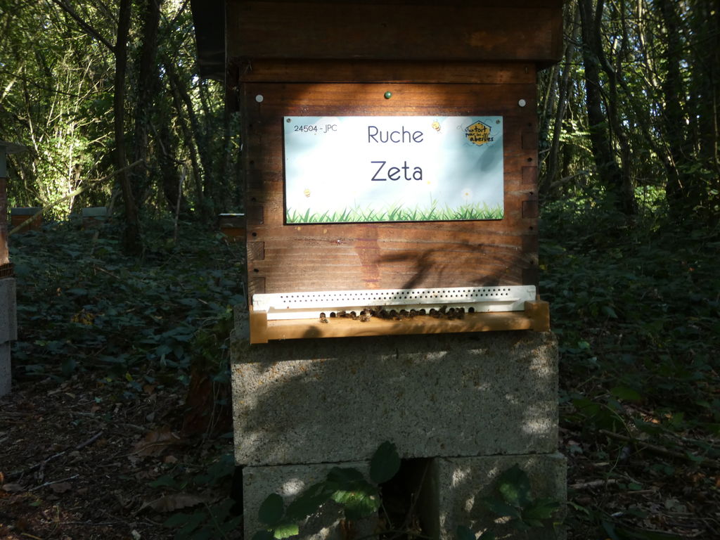 La ruche Zeta