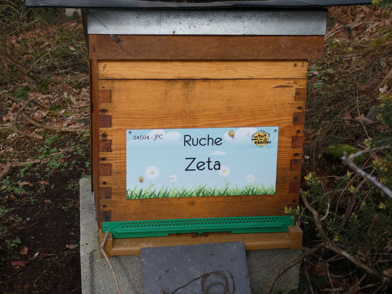 La ruche Zeta