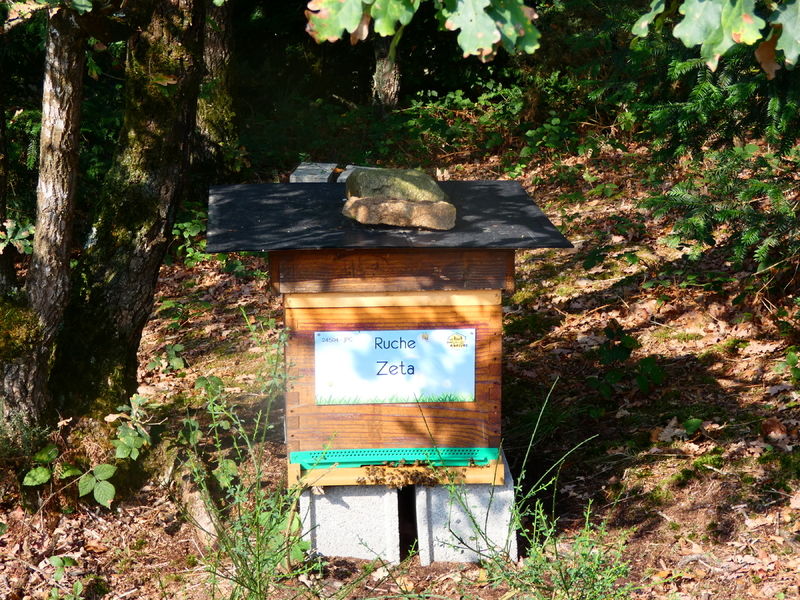 La ruche Zeta