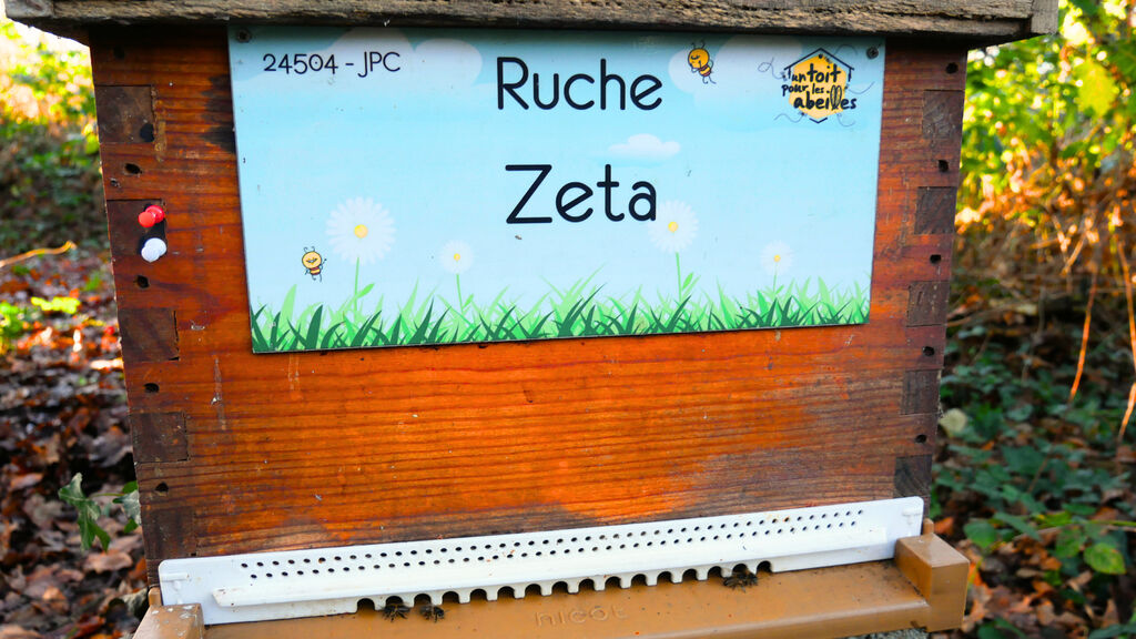 La ruche Zeta