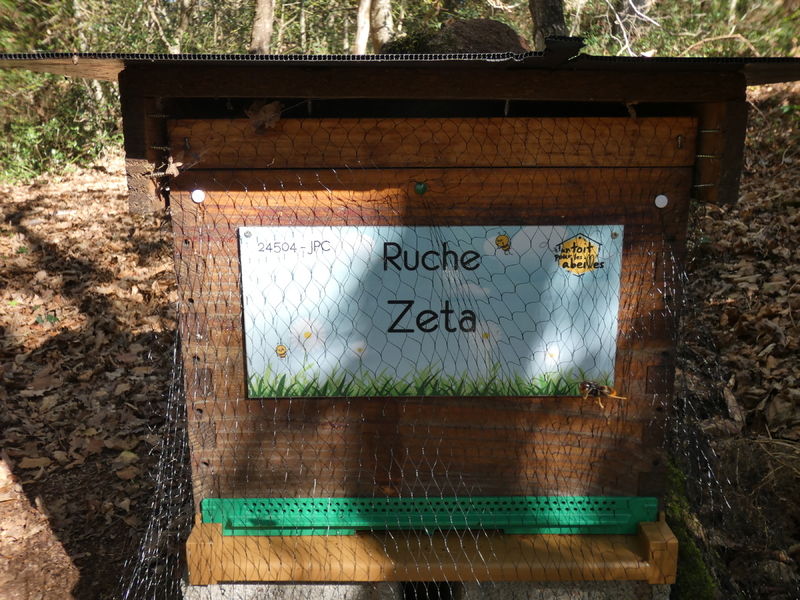 La ruche Zeta