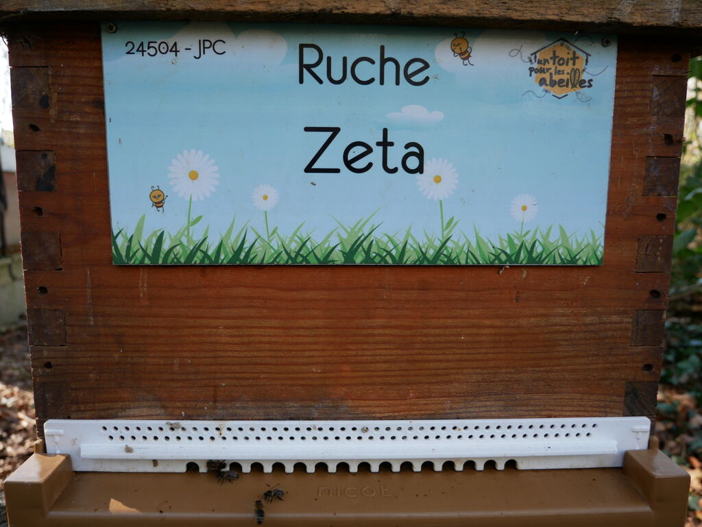 La ruche Zeta