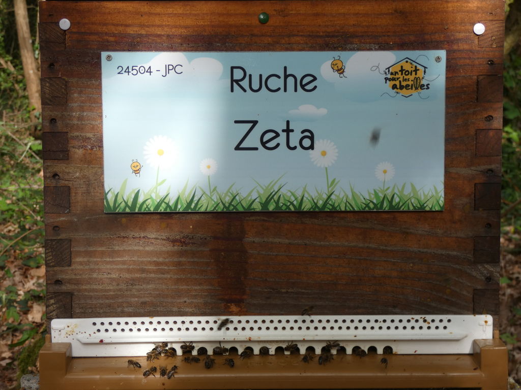 La ruche