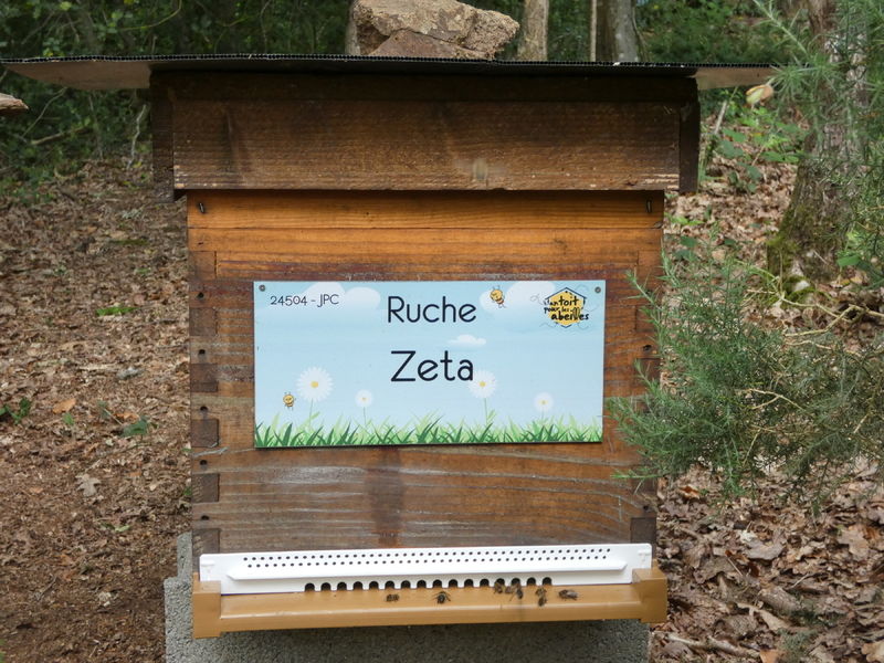 La ruche Zeta