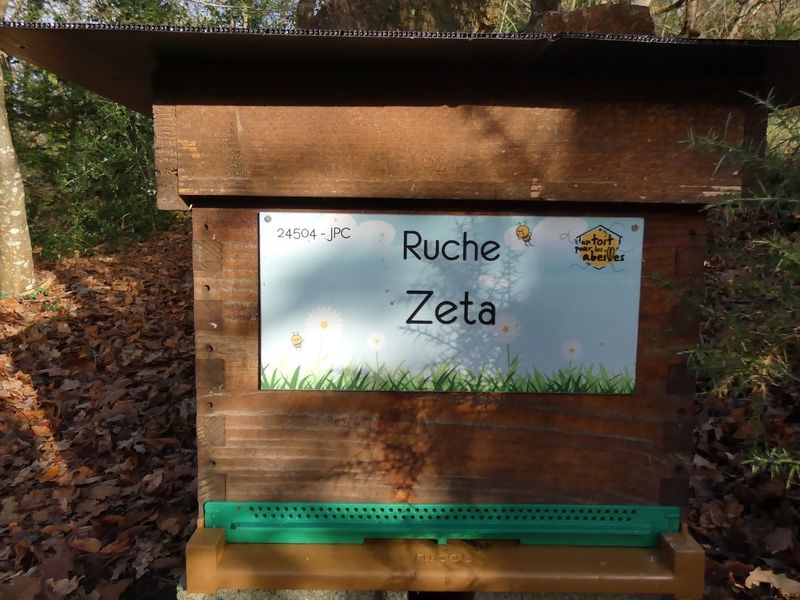 La ruche Zeta