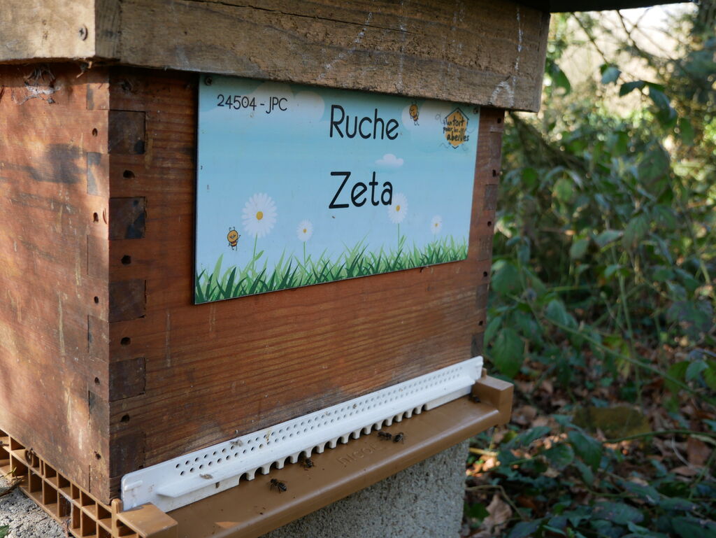 La ruche Zeta