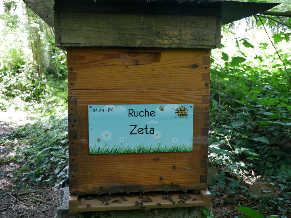 La ruche Zeta