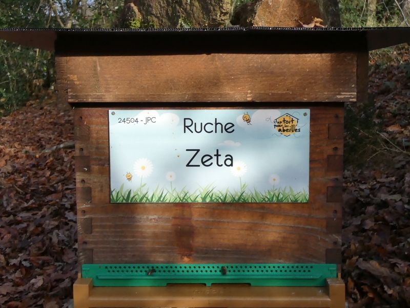 La ruche Zeta