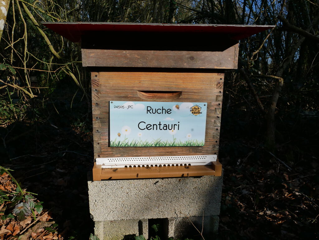 La ruche Centauri