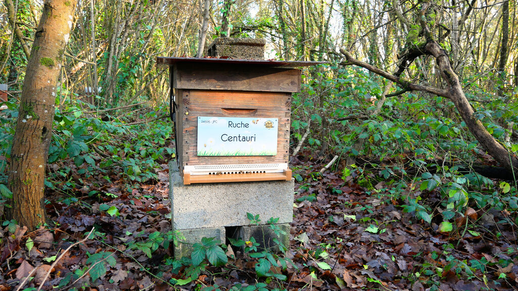 La ruche Centauri