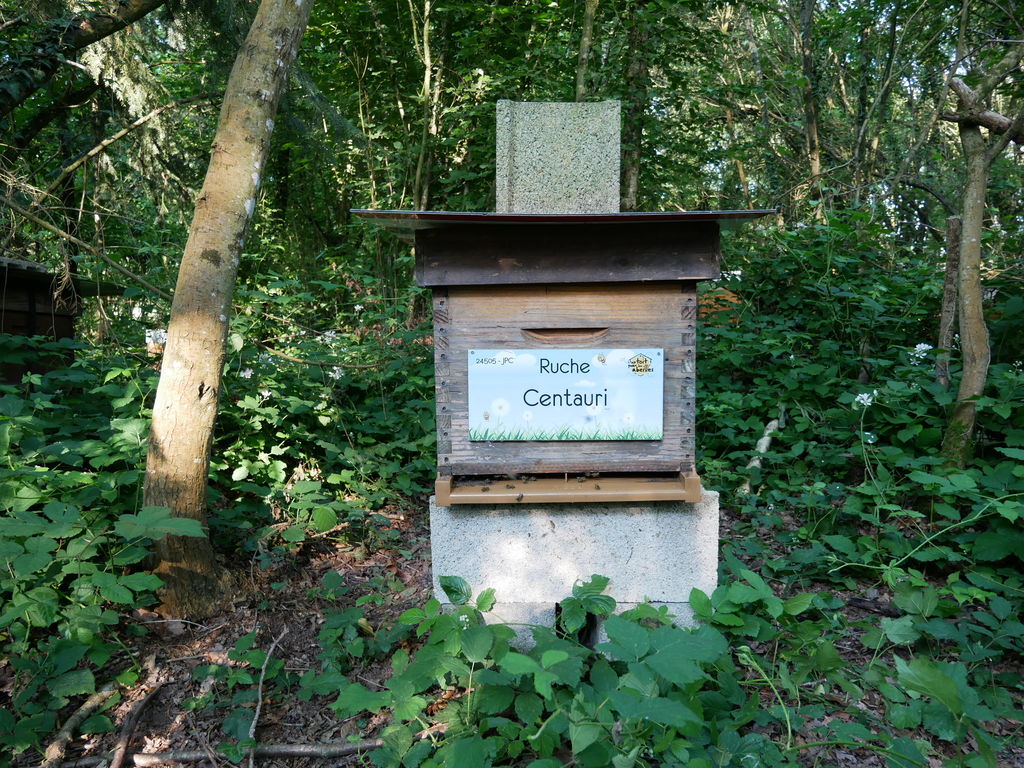 La ruche Centauri