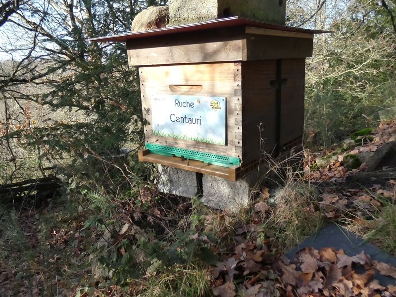 La ruche Centauri