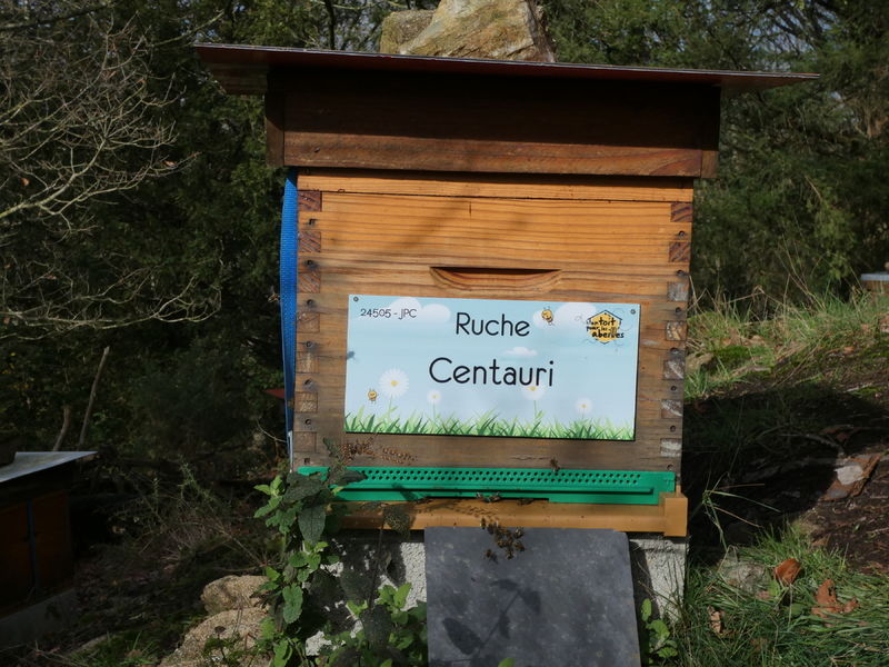 La ruche Centauri