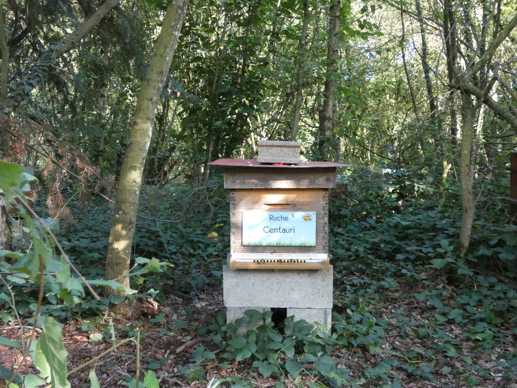 La ruche Centauri