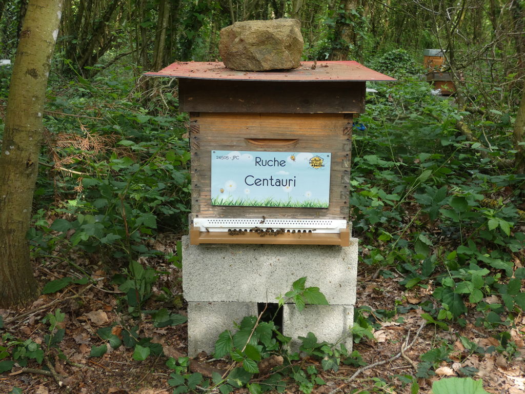 La ruche Centauri
