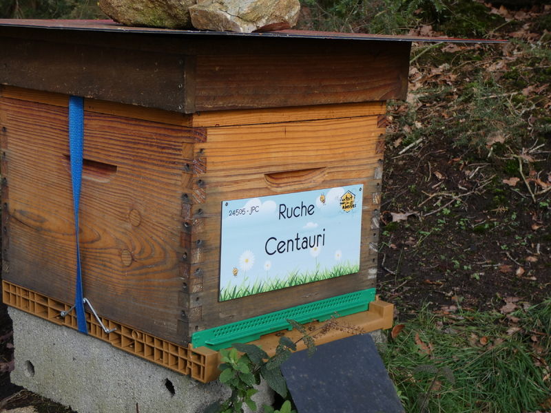 La ruche Centauri